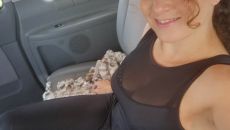 En combi dans la voiture